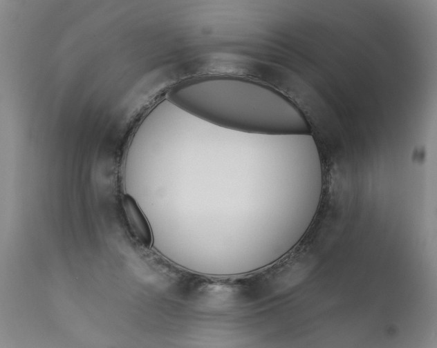 X0000110670352200906261302