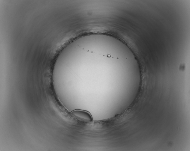 X0000110670354200906261302