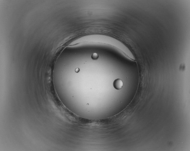 X0000110670356200906261302