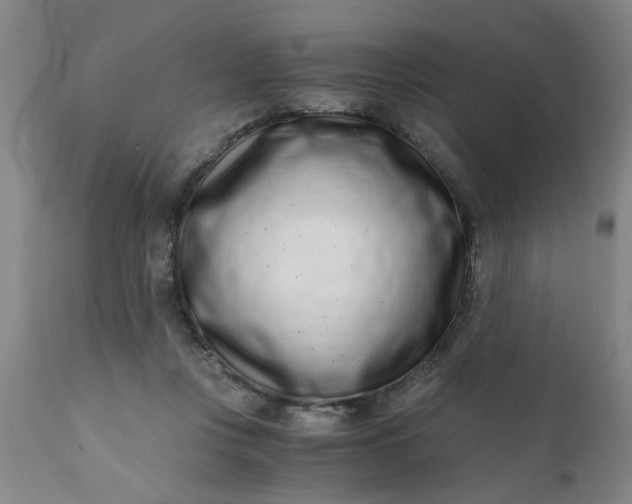 X0000110670359200906261302