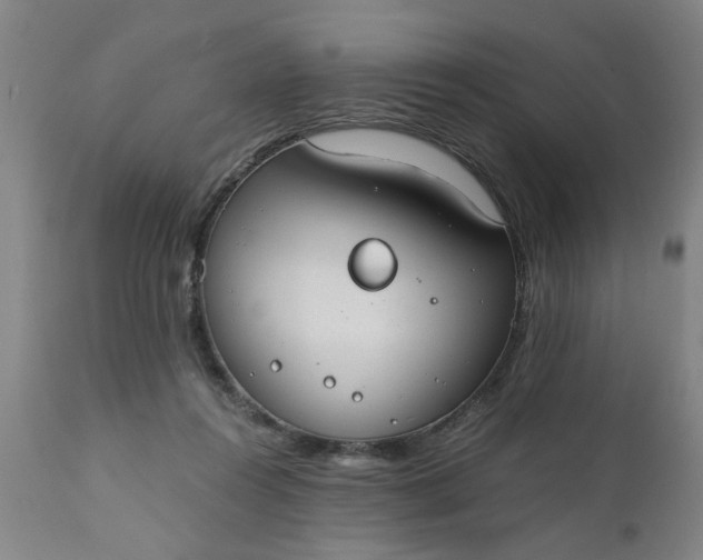 X0000110670360200906261302