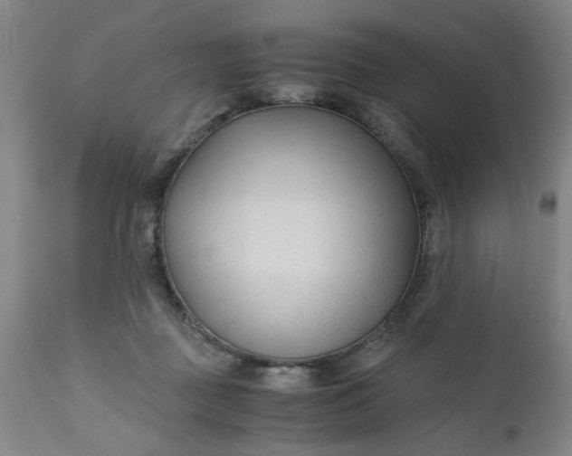 X0000110670363200906261302