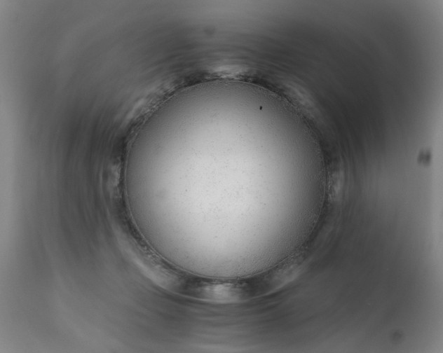 X0000110670365200906261303