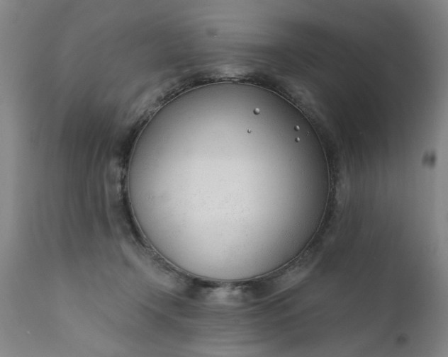 X0000110670366200906261303