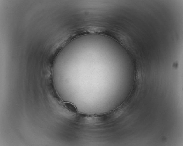 X0000110670367200906261303