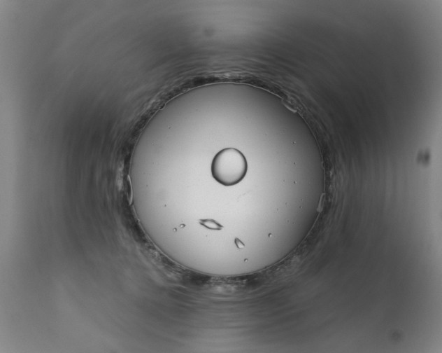 X0000110670368200906261303