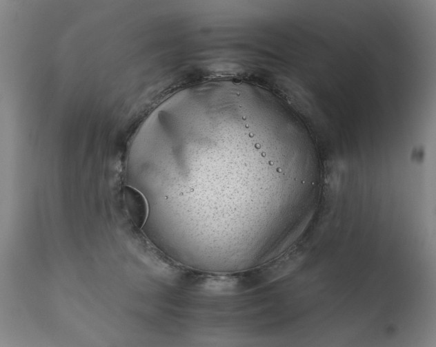 X0000110670369200906261303