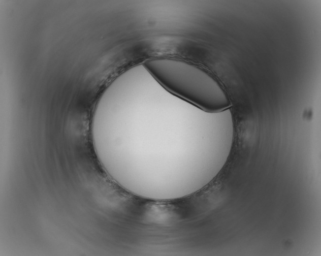 X0000110670372200906261303