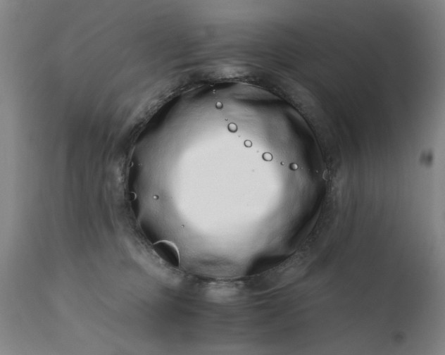 X0000110670373200906261303