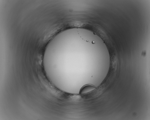 X0000110670374200906261303