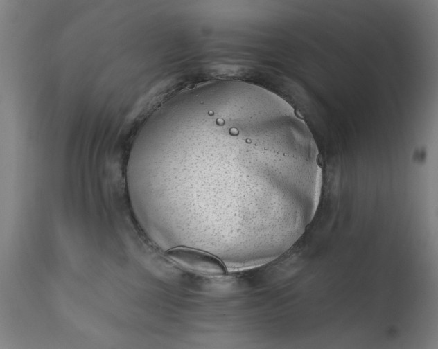 X0000110670377200906261303