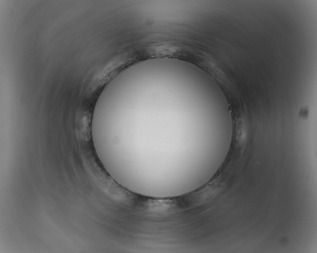 X0000110670378200906261303