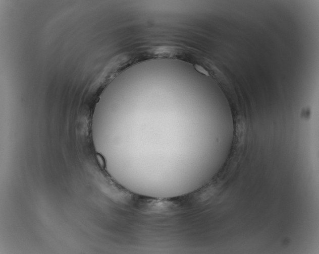 X0000110670379200906261303