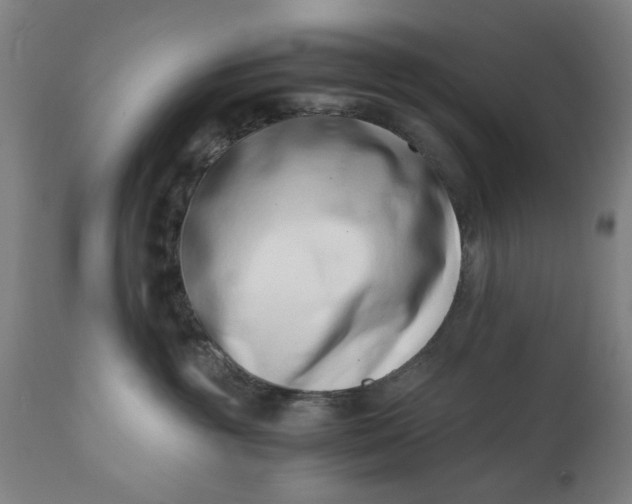 X0000110670381200906261303