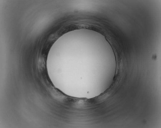X0000110670382200906261303