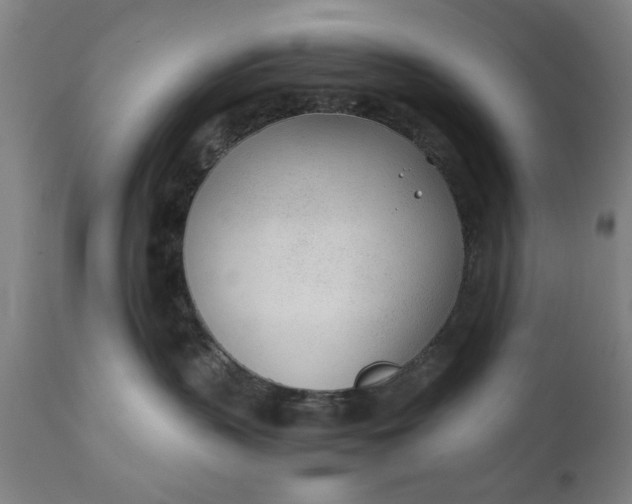 X0000110670383200906261303