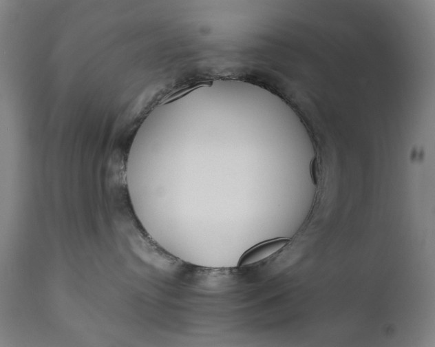 X0000110670384200906261303