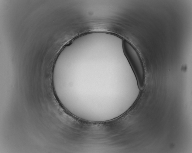 X0000110670385200906261302