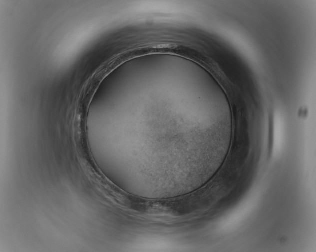 X0000110670387200906261302