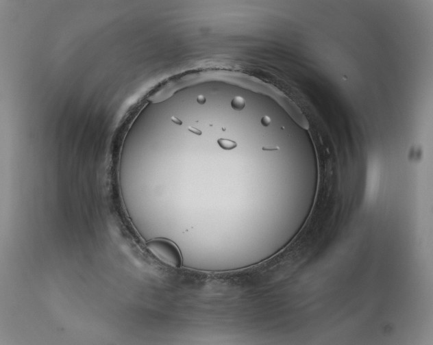 X0000110670388200906261302