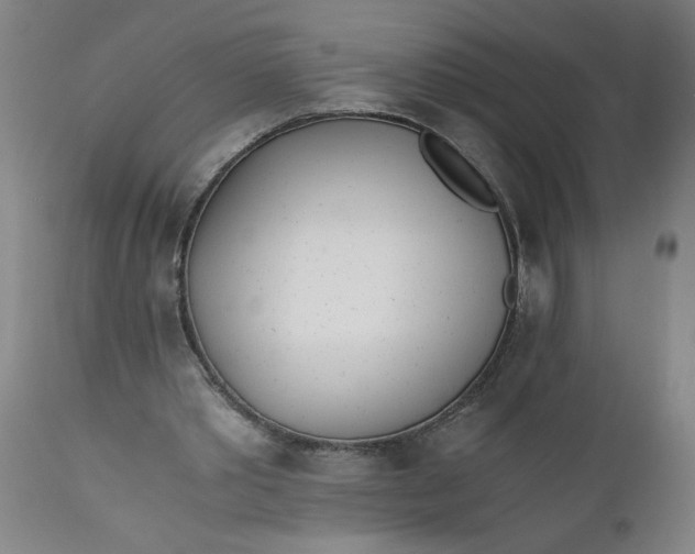 X0000110670389200906261302