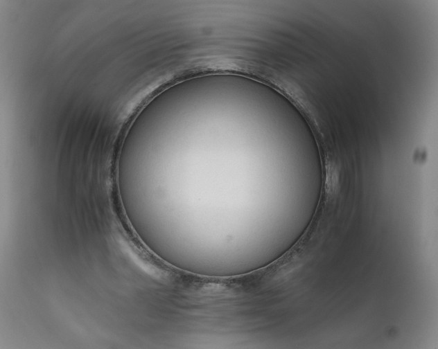 X0000110670390200906261302