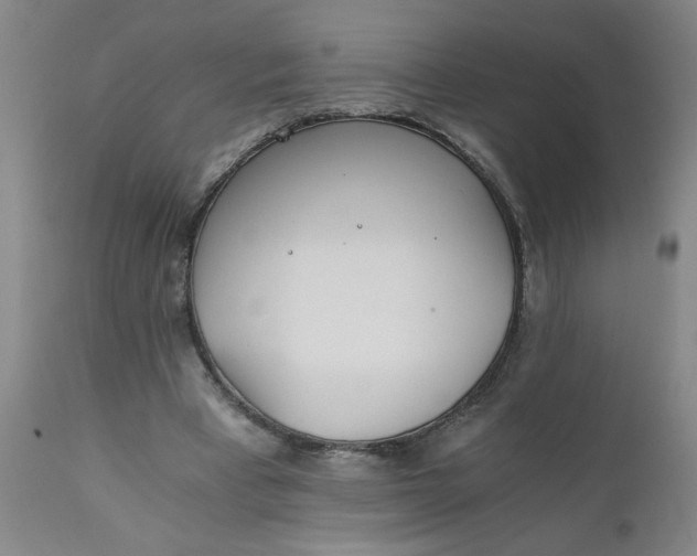 X0000110670393200906261302