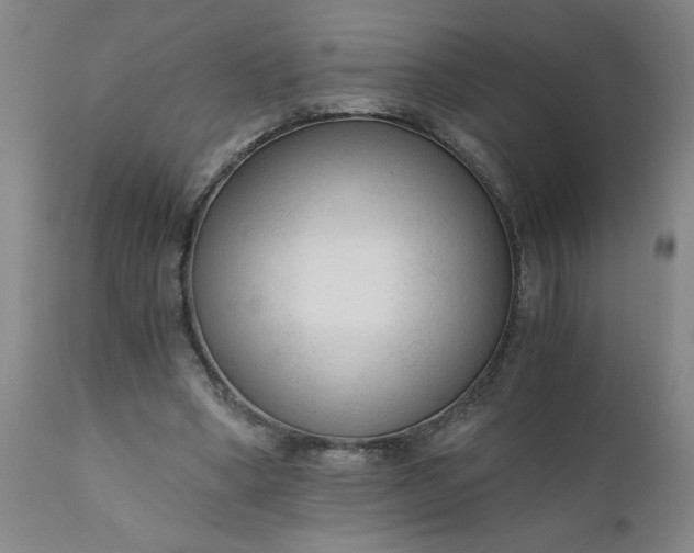 X0000110670394200906261302