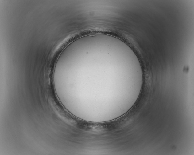 X0000110670395200906261302
