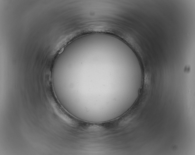 X0000110670397200906261302