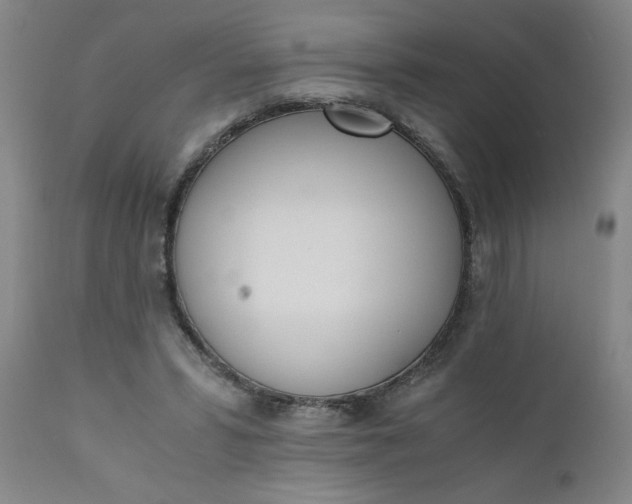 X0000110670399200906261302