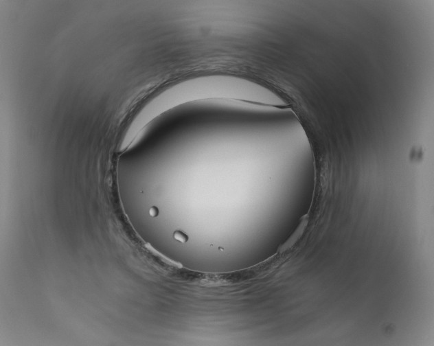 X0000110670403200906261302