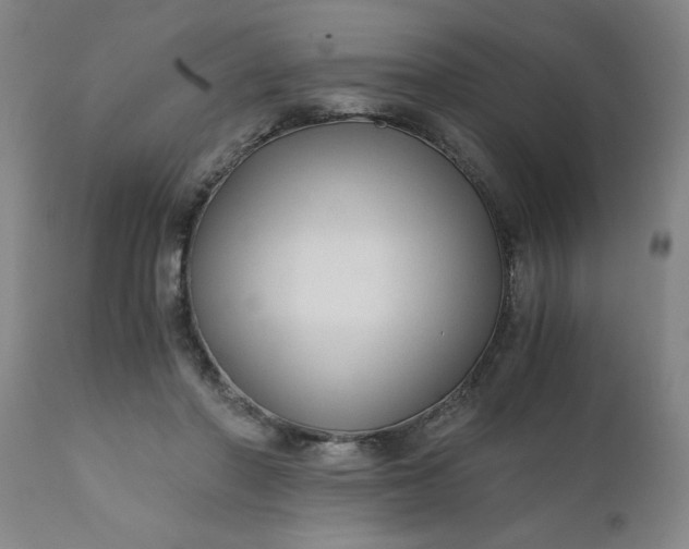 X0000110670406200906261302