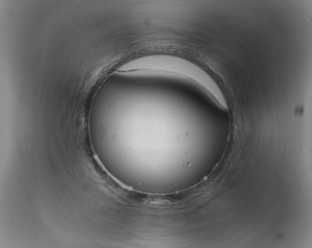 X0000110670407200906261302