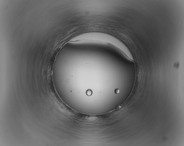 X0000110670409200906261302