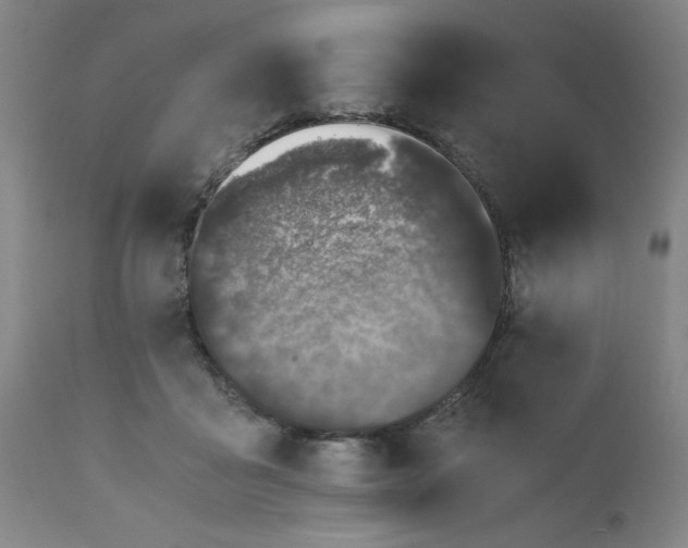 X0000110670411200906261302