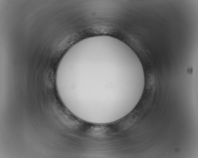 X0000110670414200906261302