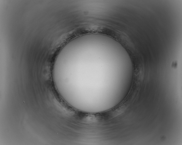 X0000110670416200906261302