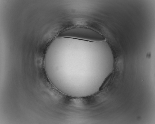 X0000110670417200906261302