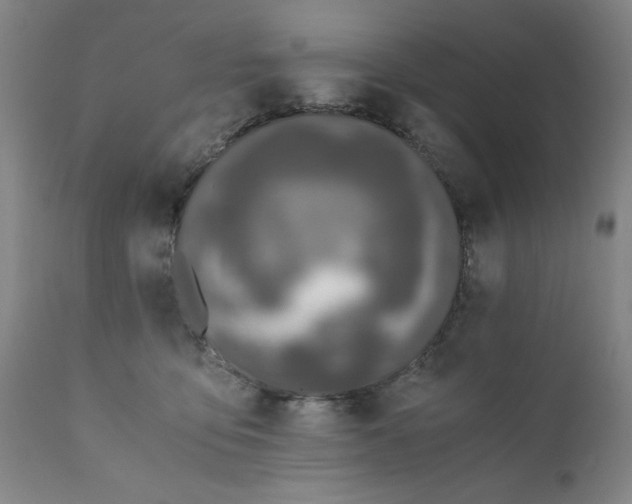 X0000110670419200906261302