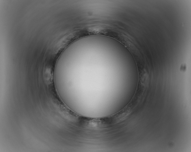 X0000110670420200906261301