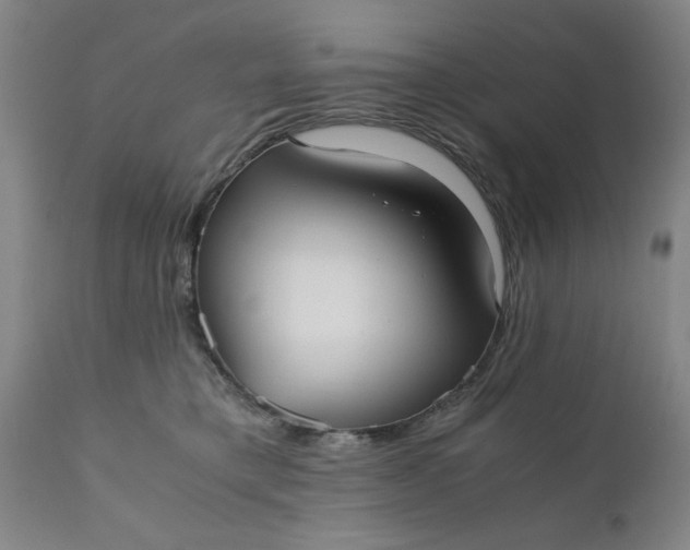 X0000110670421200906261301