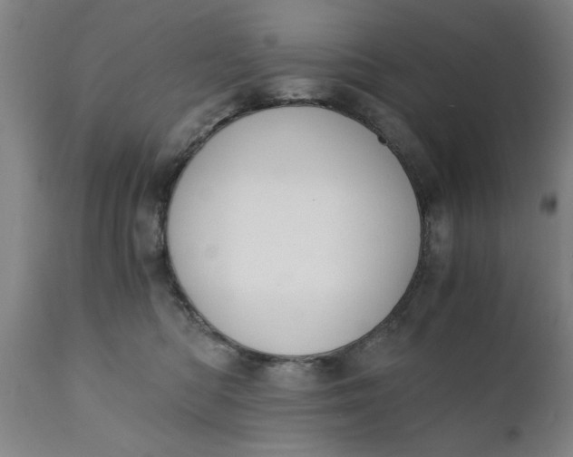 X0000110670422200906261301