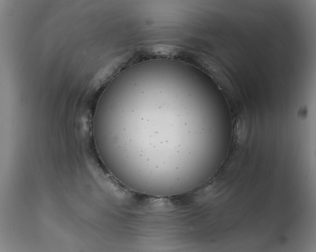 X0000110670424200906261301