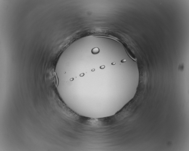 X0000110670425200906261301