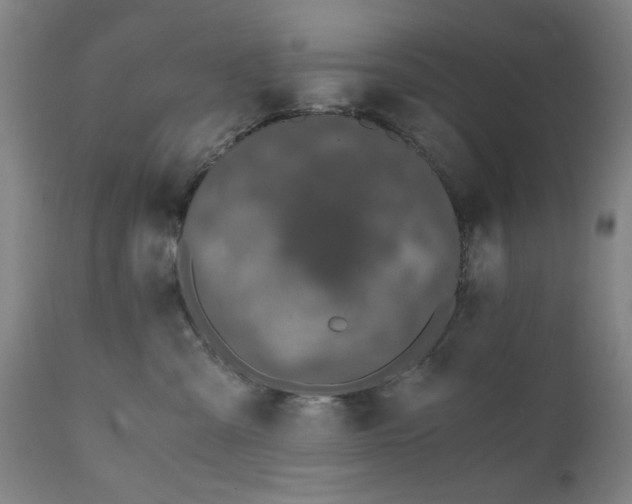 X0000110670427200906261301