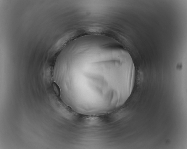 X0000110670428200906261301