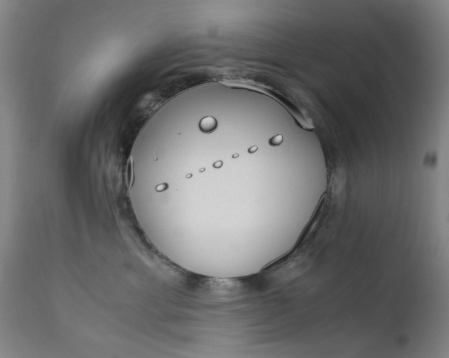 X0000110670429200906261301