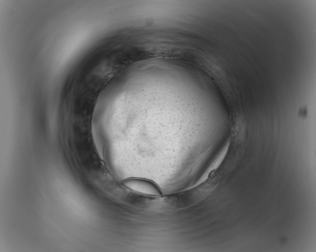 X0000110670430200906261301