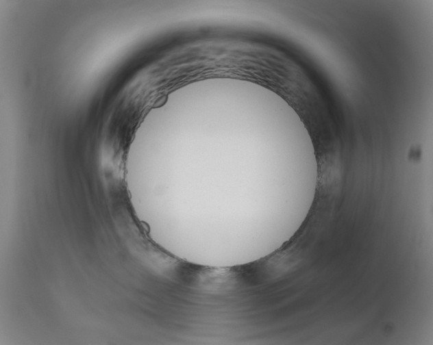 X0000110670431200906261301